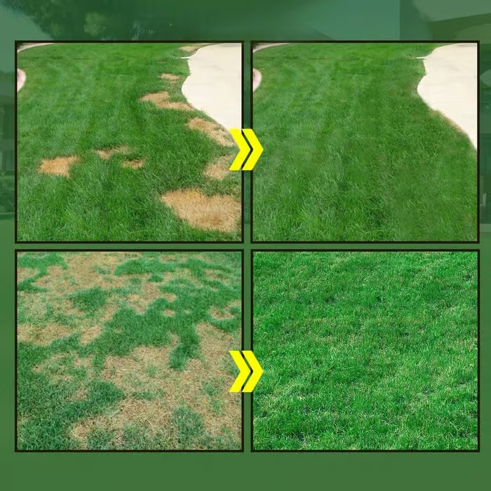 🔥Last Day 70% OFF🌱Hydro Seeding Lawn Solution