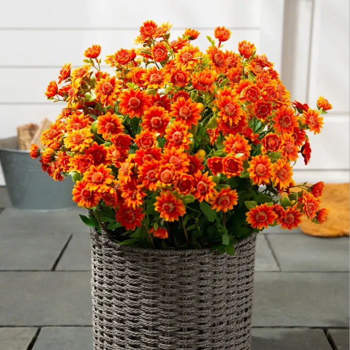 💥Last Day Each- Artificial Outdoor Sunset Mums Flowers - Waterproof, Windproof